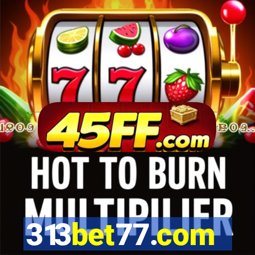 313bet77.com