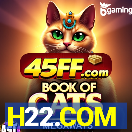 H22.COM