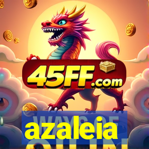 azaleia-br.com