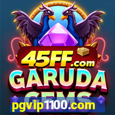 pgvip1100.com