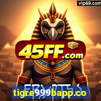 tigre999bapp.com
