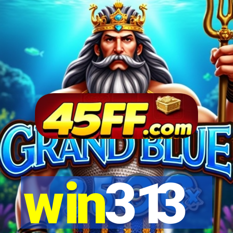win313