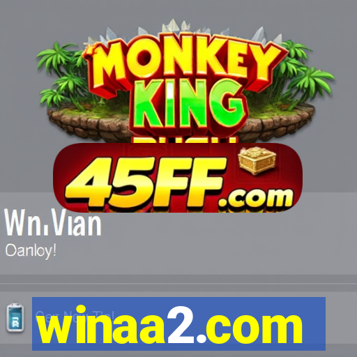 winaa2.com