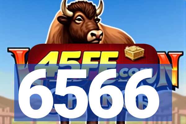 6566