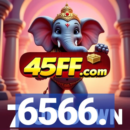 6566.