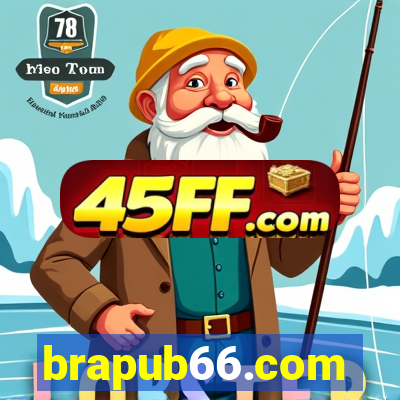 brapub66.com