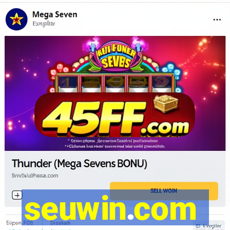 seuwin.com